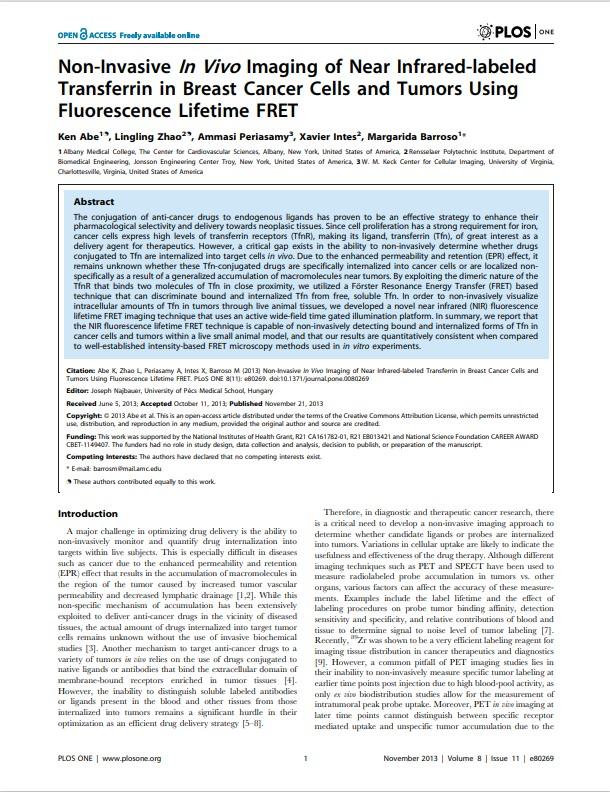 noninvasive-in-vivo