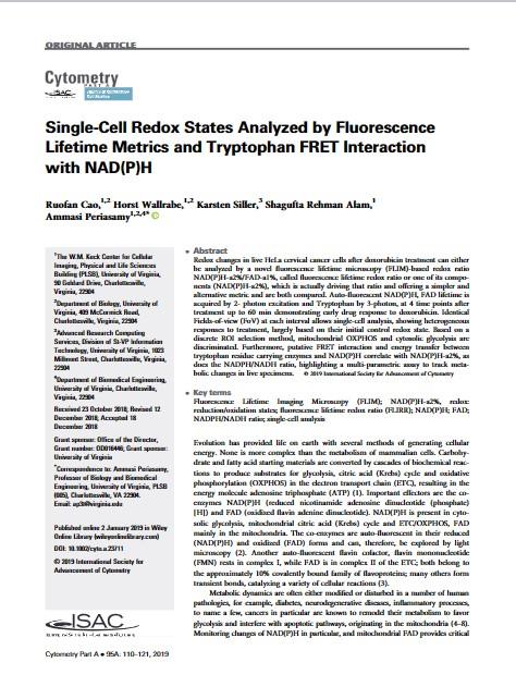 single_cell_redox