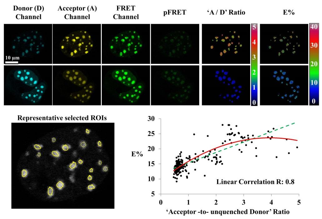 CF-figure3