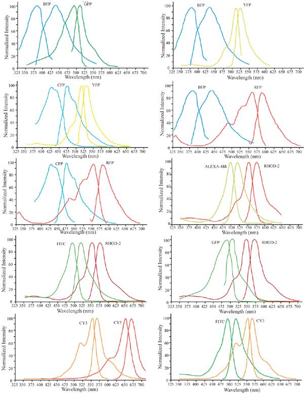 Fret Spectra