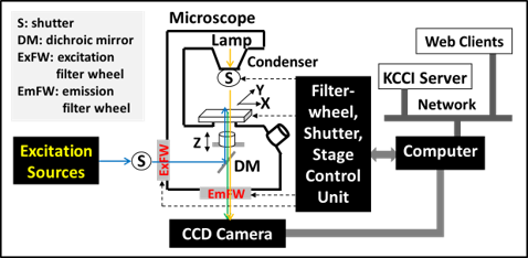 widefield diagram