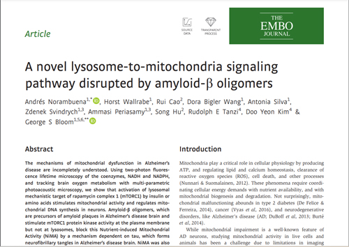 Embo Journal